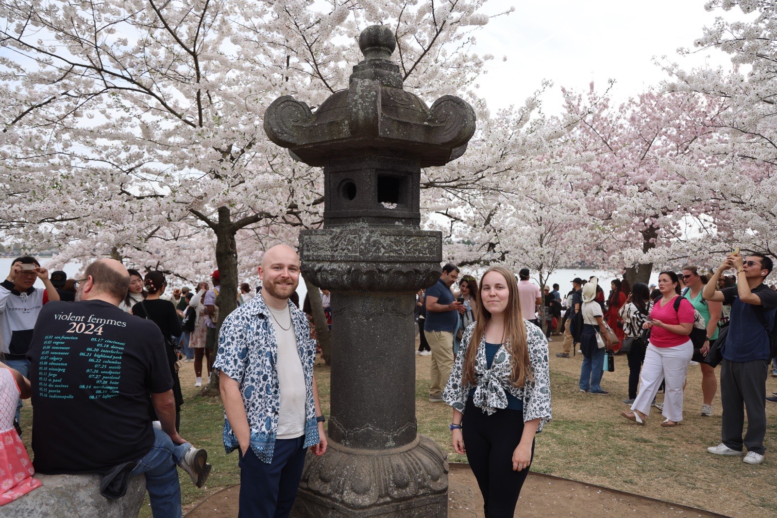 Japanese lantern and cherry blossoms
