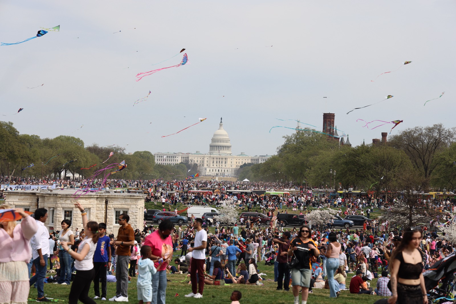 Kite festival on the National Mall